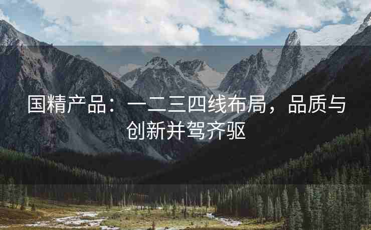 国精产品：一二三四线布局，品质与创新并驾齐驱